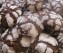Chocolade-Pecanoten koekjes